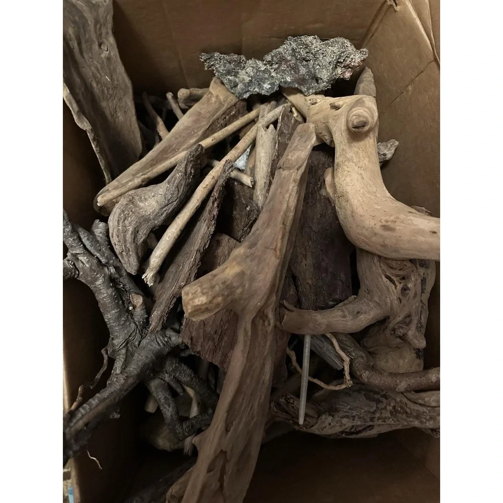 Driftwood 42# Lot  aquarium terrarium beach‎ decor taxidermy Hermit Crabs +++